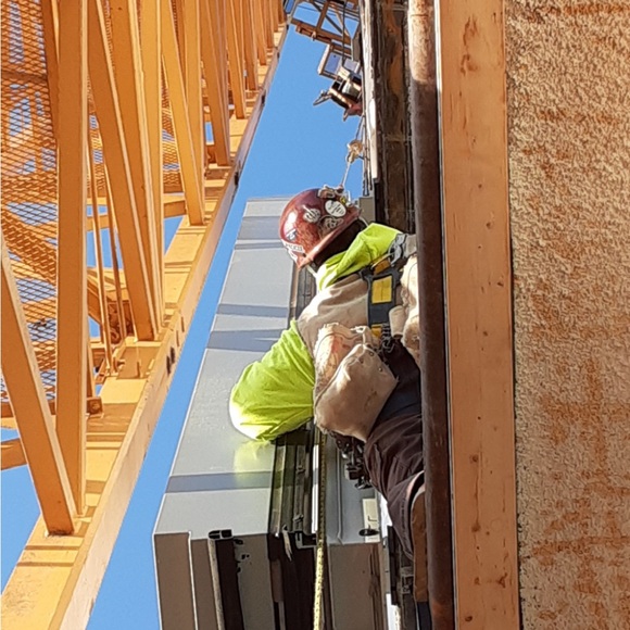 Meet your Posher, Jacey and Ginger - Picture 5 of 11